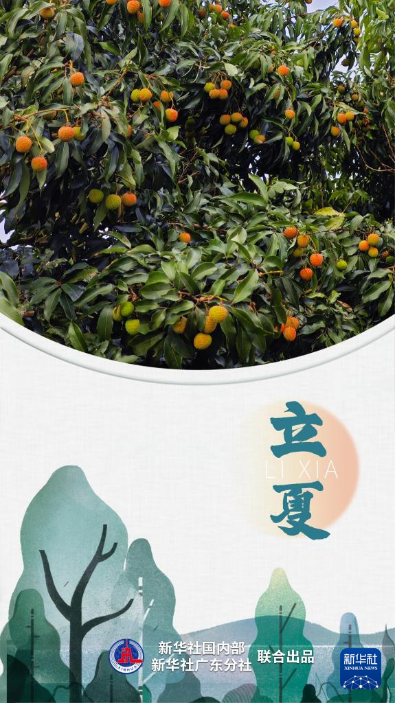 节令之美｜立夏：满目皆叠翠，岭南荔挂红(图1)