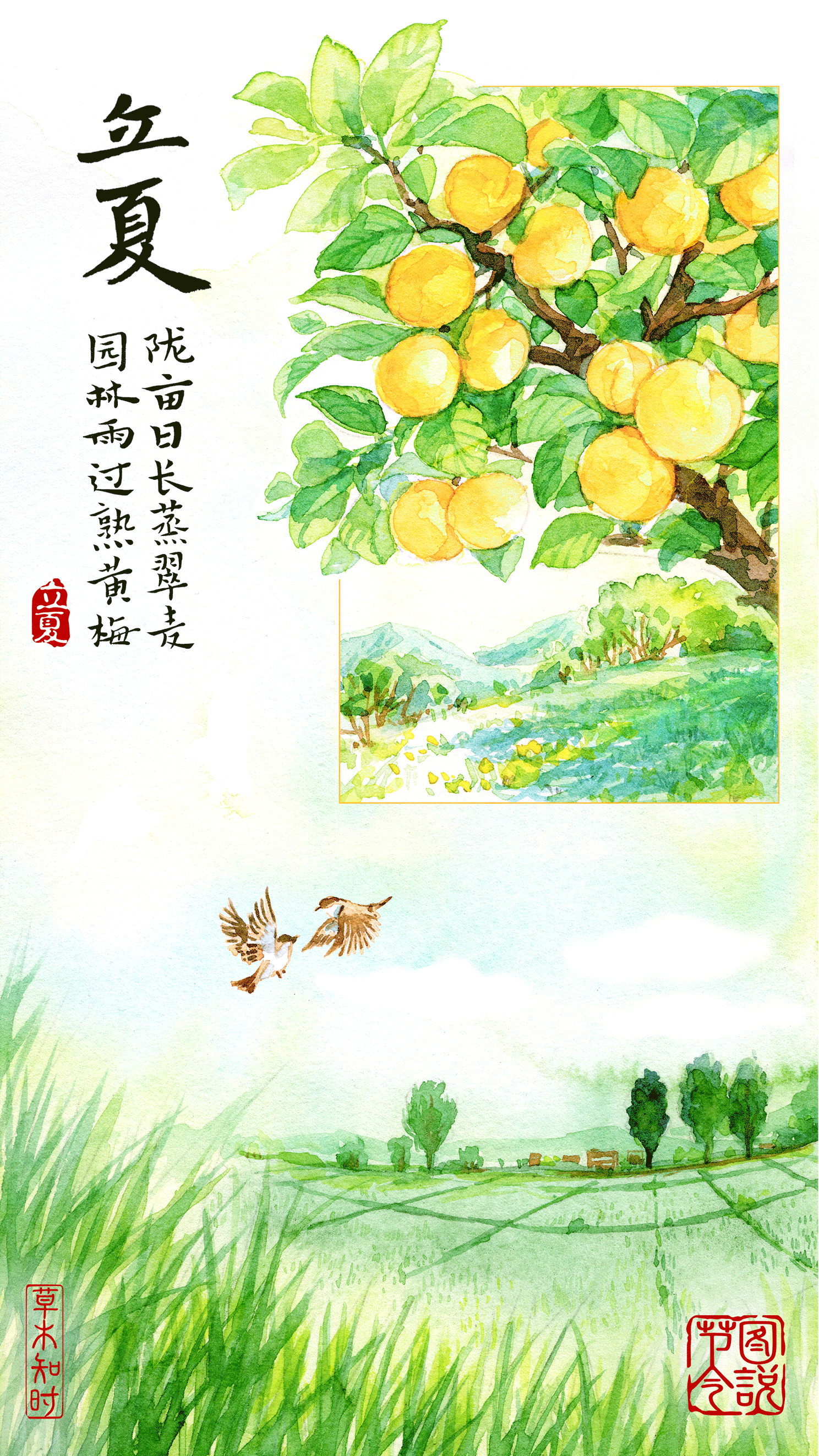 图说节令丨浅夏胜春，古诗词中的立夏美景有多绝？(图4)