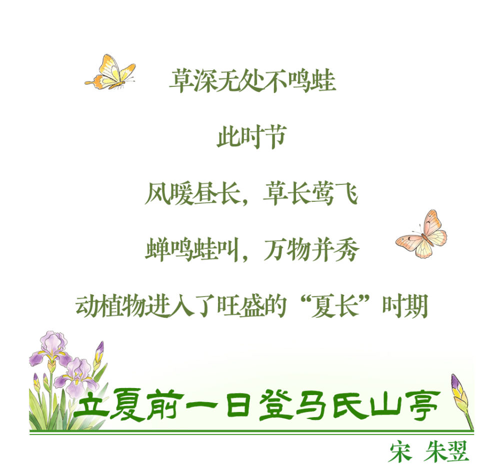 图说节令丨浅夏胜春，古诗词中的立夏美景有多绝？(图7)