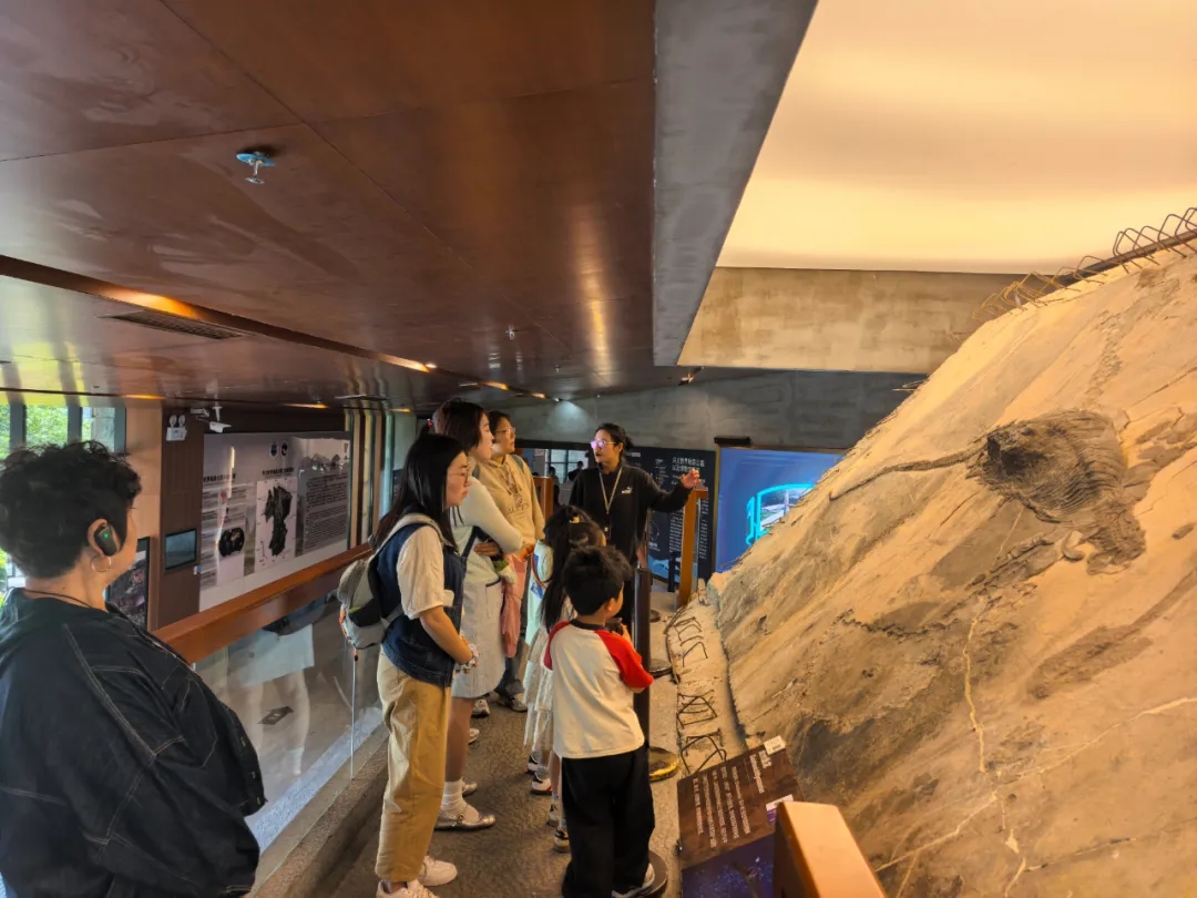 黔西南跻身全国旅游黑马目的地！《2026年“五一”假期旅游消费盘点》发布(图7)