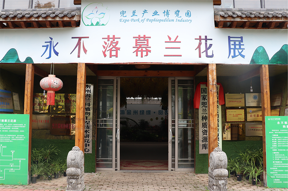 微信图片_20260507083533_1222_2 邓克云:三十年山野守望 让“植物熊猫”走向世界(图6)