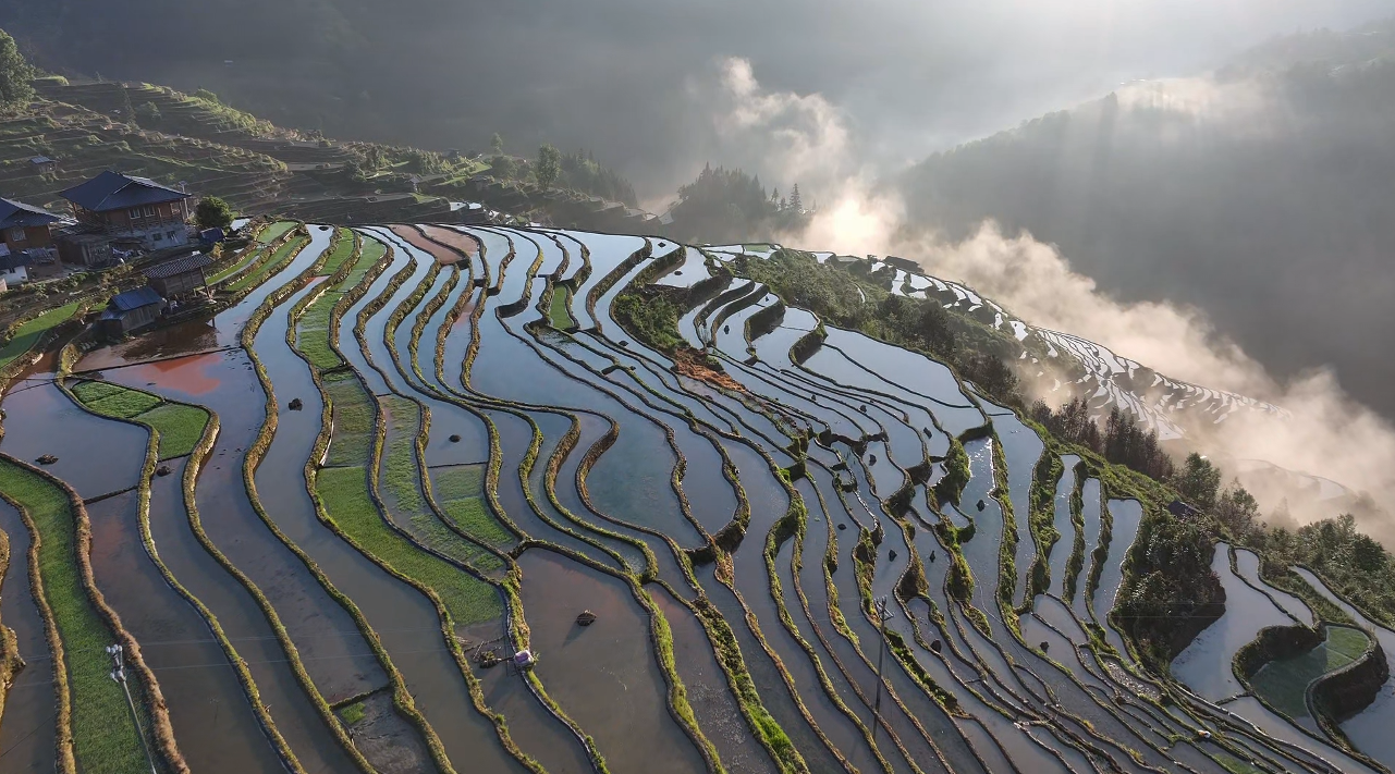 现在出发！尽揽贵州“凉”辰美景｜加榜梯田铺展绝美画卷，满目皆是惊艳(图2)