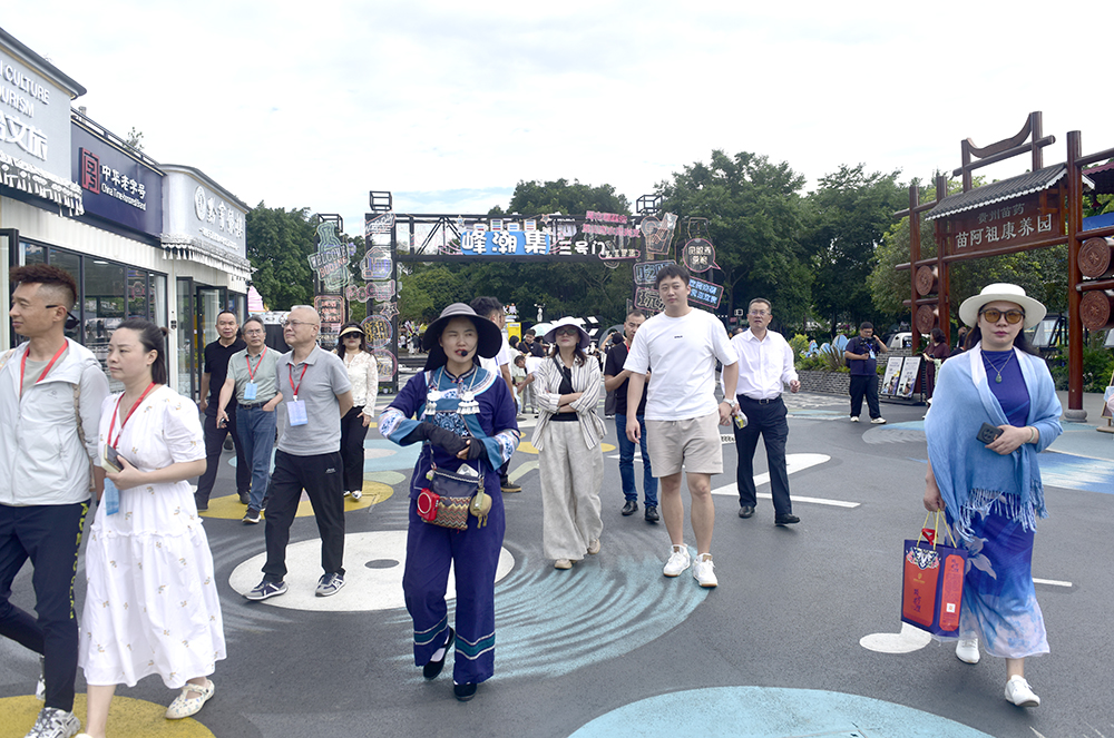 全国客商齐聚兴义 共绘旅居康养新蓝图(图2)