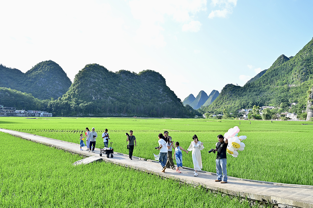 贵州兴义万峰林：夏日稻绿染峰林 农旅融合促振兴(图4)