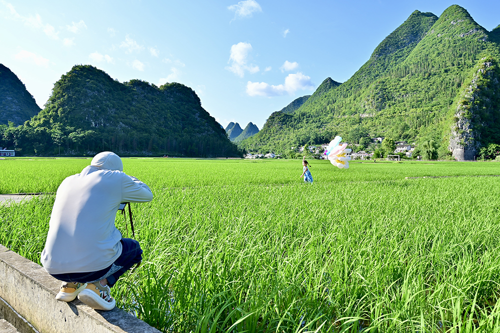 贵州兴义万峰林：夏日稻绿染峰林 农旅融合促振兴(图5)