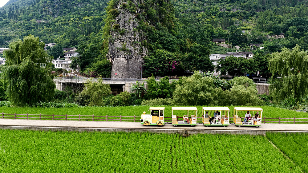 贵州兴义万峰林：夏日稻绿染峰林 农旅融合促振兴(图7)