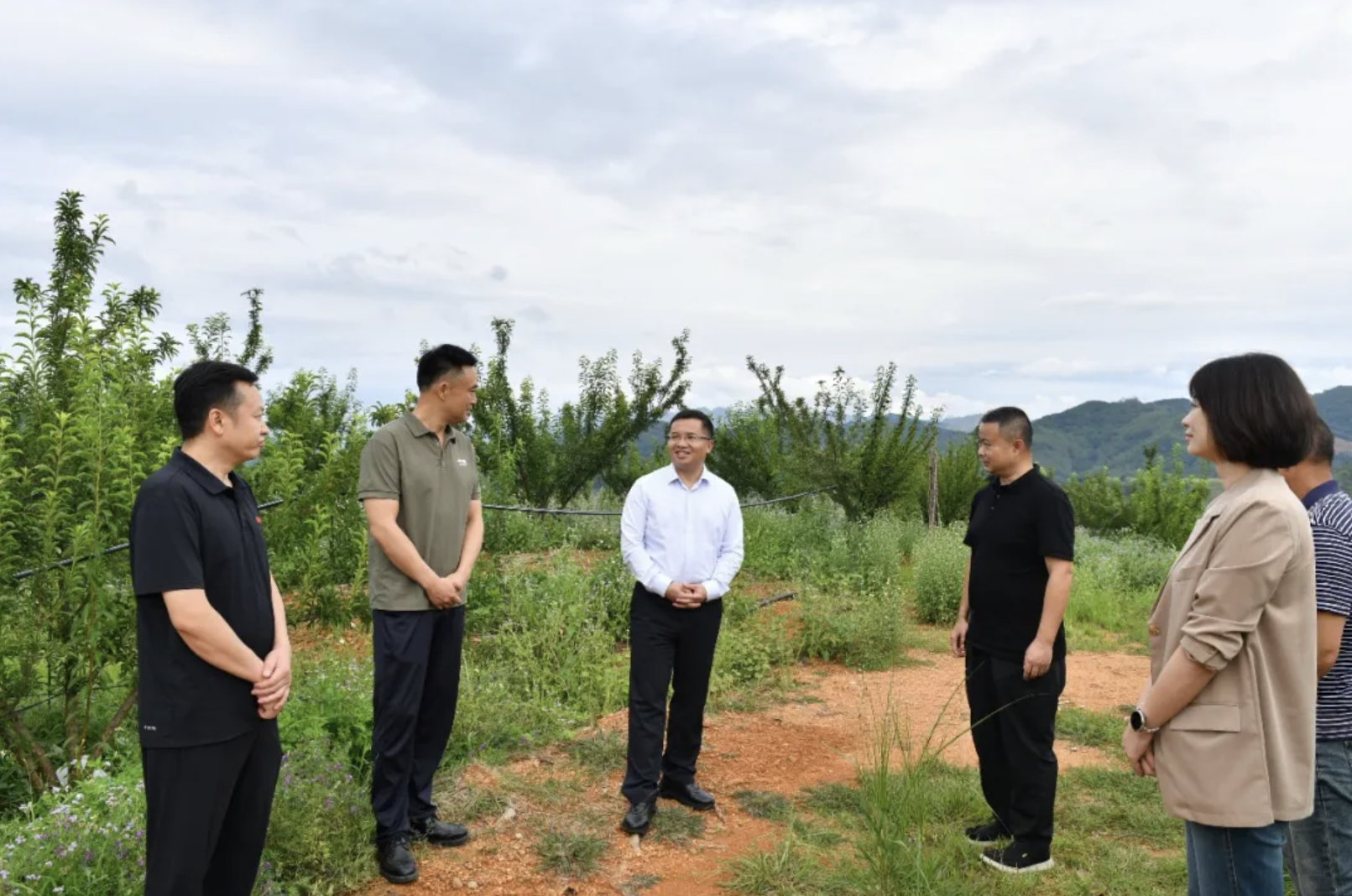 顾先林到南盘江镇调研汛期安全、产业发展等工作(图3)