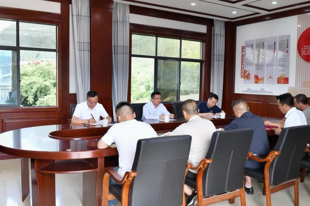 顾先林调研基层党建和集中整治等工作(图2)