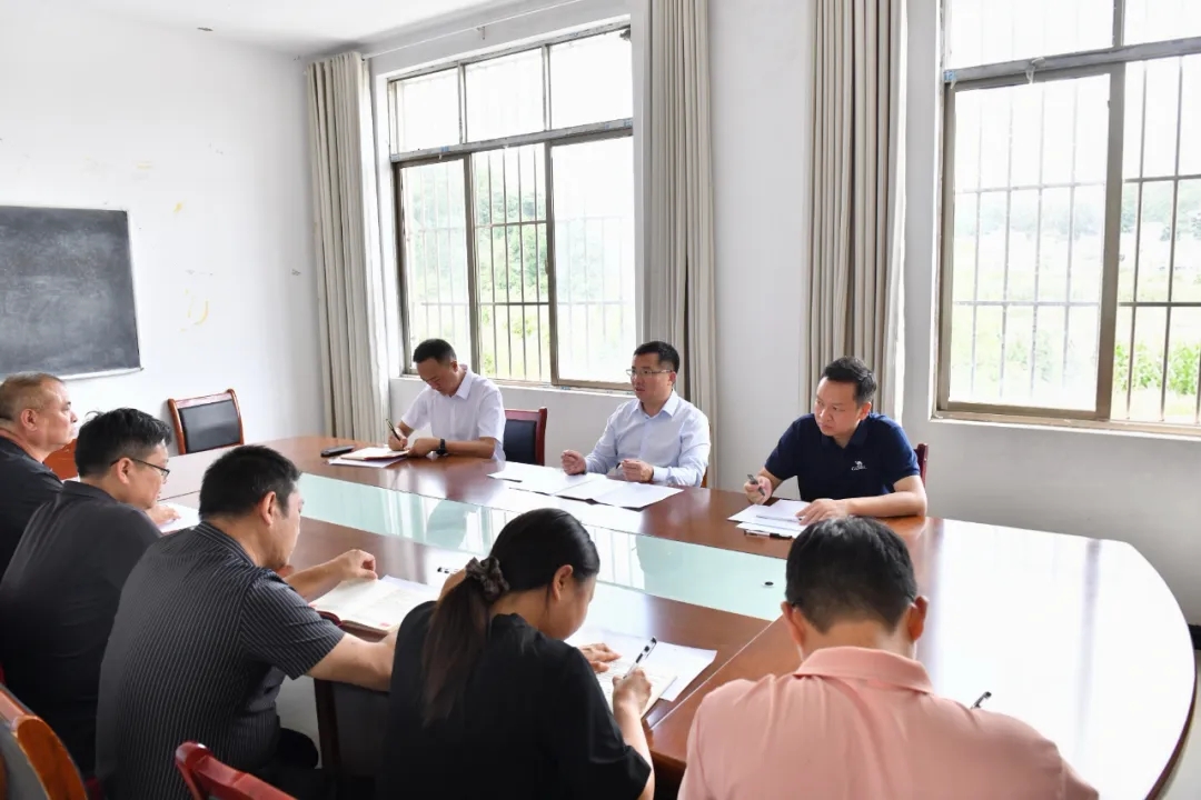 顾先林调研基层党建和集中整治等工作(图3)