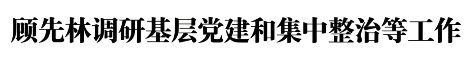 顾先林调研基层党建和集中整治等工作(图1)