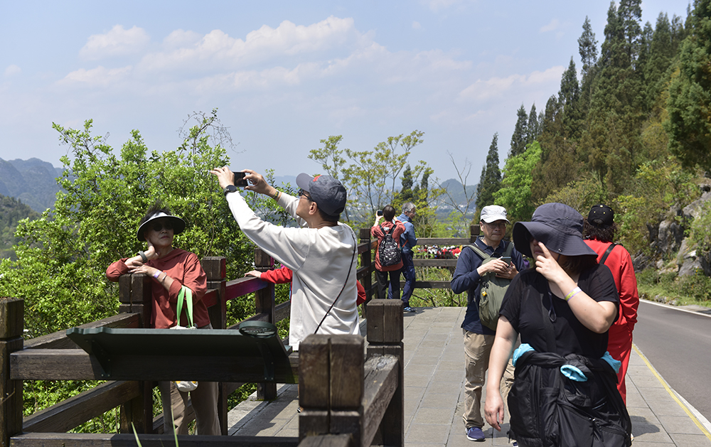 贵州兴义万峰林：多元发力激活暑期旅游市场 清凉流量转化经济增量(图2)