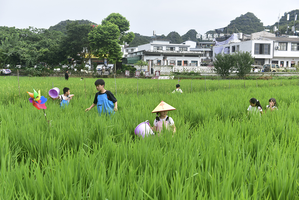 贵州兴义万峰林：多元发力激活暑期旅游市场 清凉流量转化经济增量(图3)