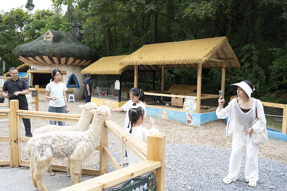 业态提质 场景焕新——阳光谷度假区激活兴义文旅新动能(图4)