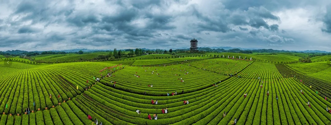 17860752239768.jpg 微信图片_20260807115503.jpg
