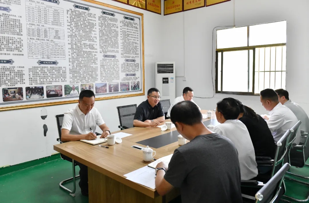 顾先林调研基层党建、集中整治等工作(图3)