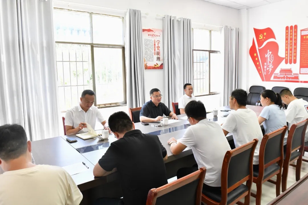 顾先林调研基层党建、集中整治等工作(图4)