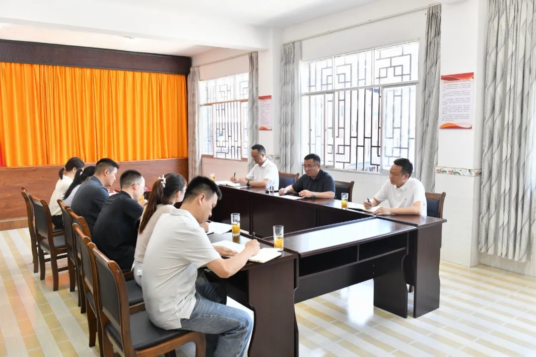 顾先林调研基层党建、集中整治等工作(图5)