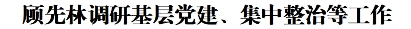 顾先林调研基层党建、集中整治等工作(图1)