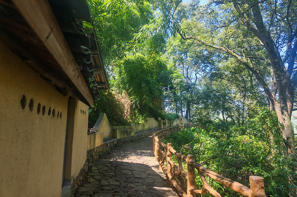 兴义普梯村：古寨焕新颜 农文旅融合引客来(图9)