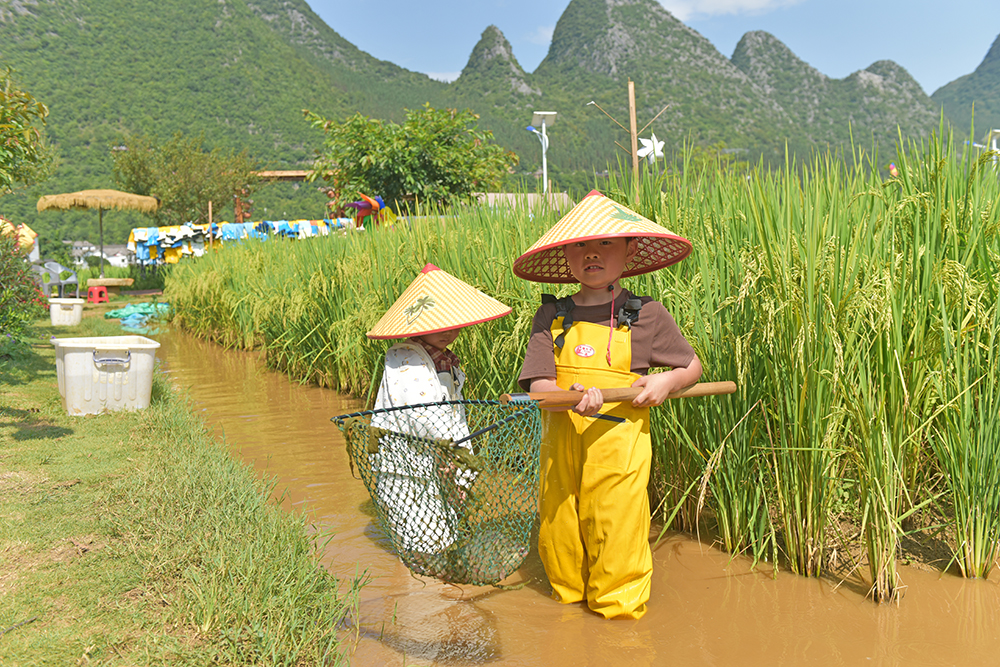 兴义：多元业态赋能文旅升级 沉浸式体验留住八方游客(图3)