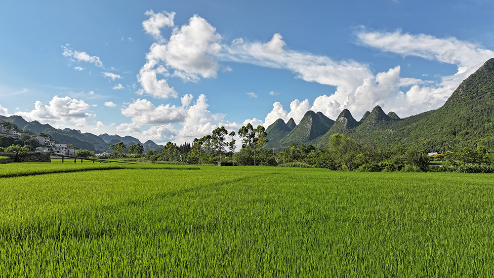 万峰林：绿水青山间的“两山”答卷(图2)