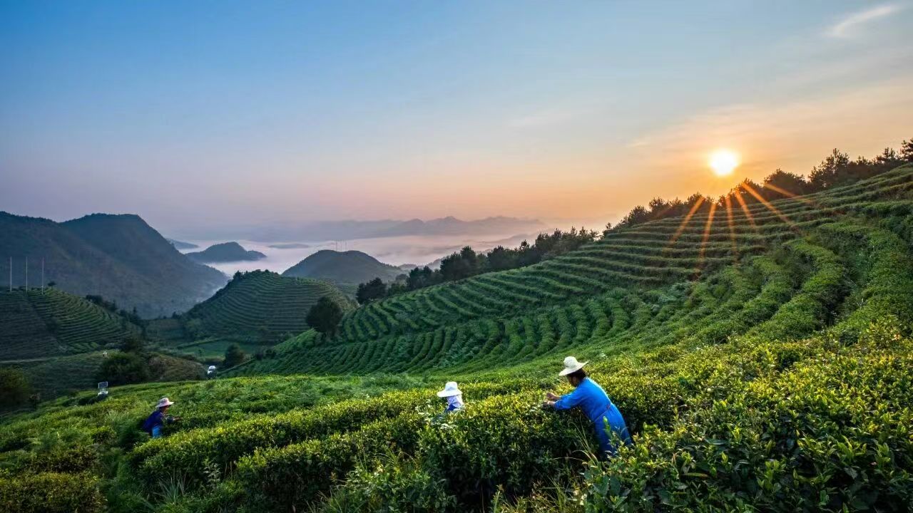 不止山水与手艺|丹寨的底气,是浑然一体的文化生态(图2) 不止山水与手艺|丹寨的底气,是浑然一体的文化生态(图2)