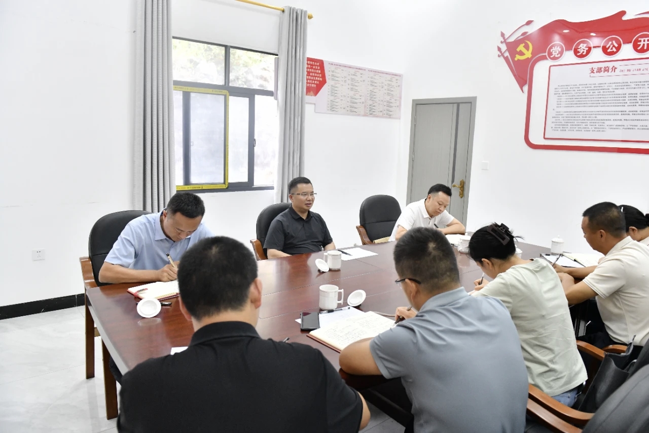 顾先林到三江口镇等四个乡镇调研(图3)