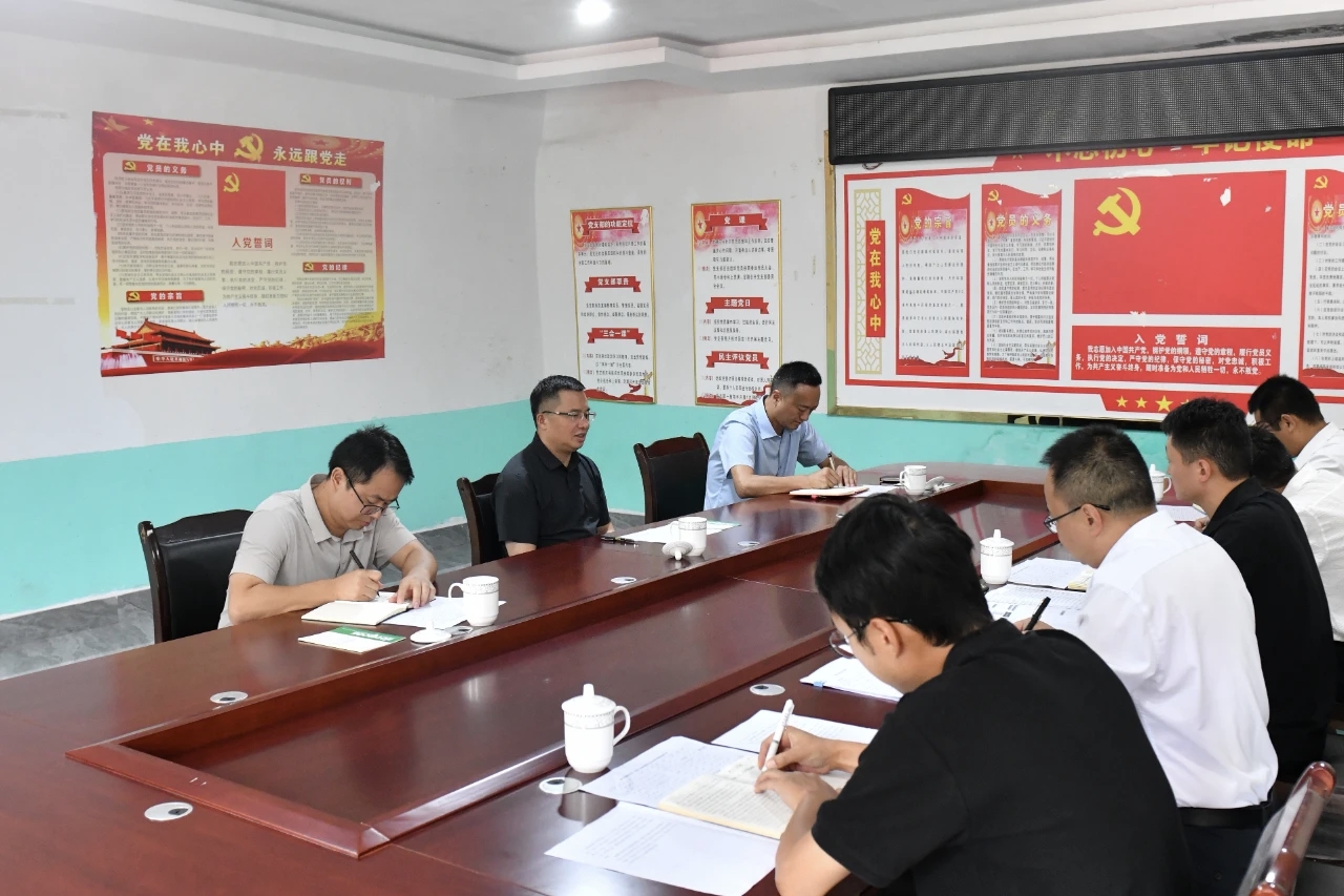 顾先林到三江口镇等四个乡镇调研(图4)