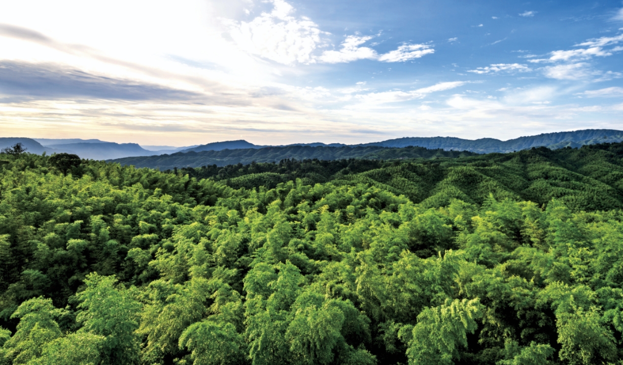 贵州就是“白居易”,理想旅居:一半烟火白居,一半自在居易(图4) 贵州就是“白居易”,理想旅居:一半烟火白居,一半自在居易(图4)