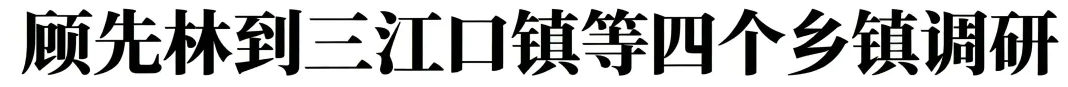 顾先林到三江口镇等四个乡镇调研(图1)