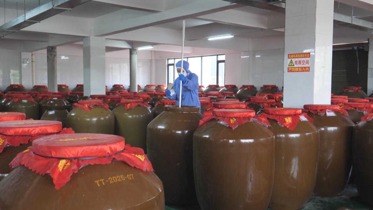寻找贵州“灵魂番茄”！一颗毛辣果见证酸汤全产业链突围(图11)