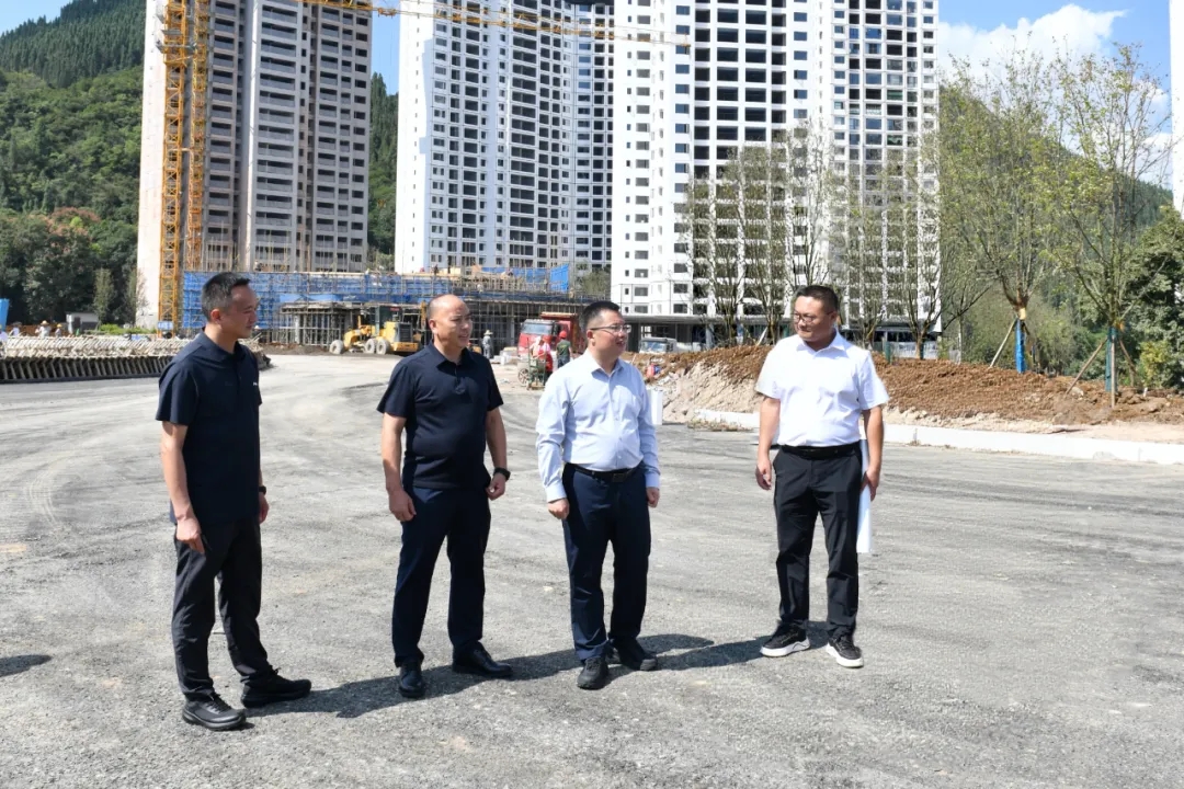 顾先林调研基层党建和抓项目稳投资等工作(图2)