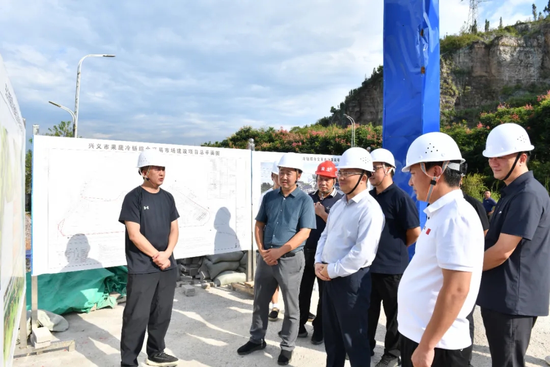 顾先林调研基层党建和抓项目稳投资等工作(图3)
