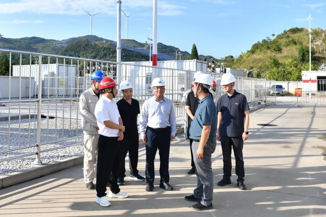 顾先林调研基层党建和抓项目稳投资等工作(图4)